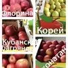 яблоки Краснодарский Край в Майкопе и Республике Адыгея