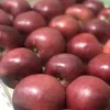 яблоки Ред делишес урожай 2020 в Краснодаре 2