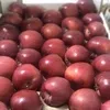 яблоки Ред делишес урожай 2020 в Краснодаре